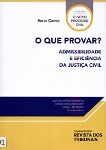 O que prova? Admissibilidade e eficiência da justiça civil