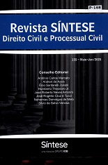 Revista síntese: Direito civil e Processual civil